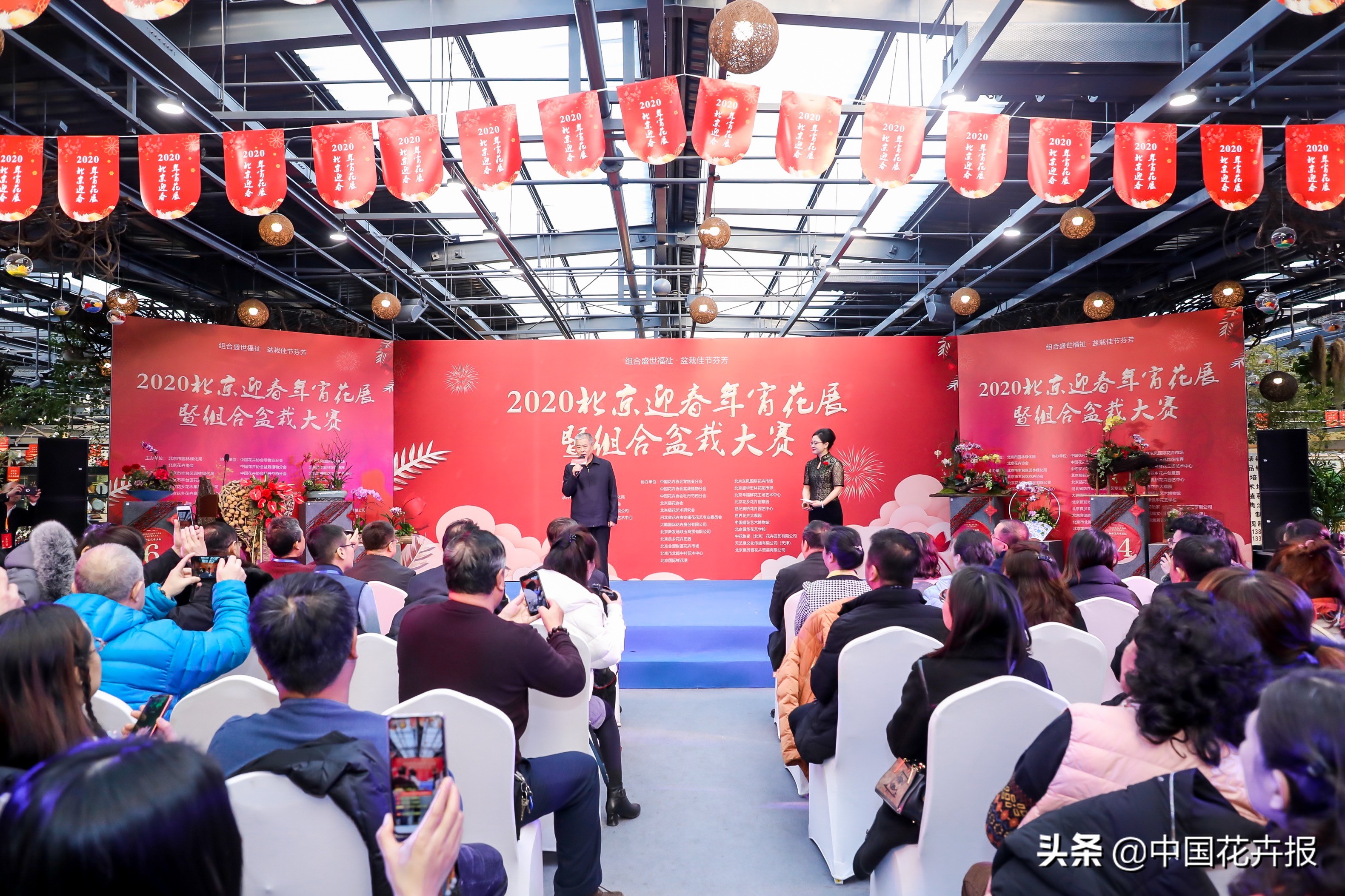 北京迎春花展,北京春季花展时间表