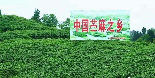 澶х鏃呮父鏅偣澶у叏鎺ㄨ崘,鎺㈠澶╁簻鏃呮父鍚嶉晣