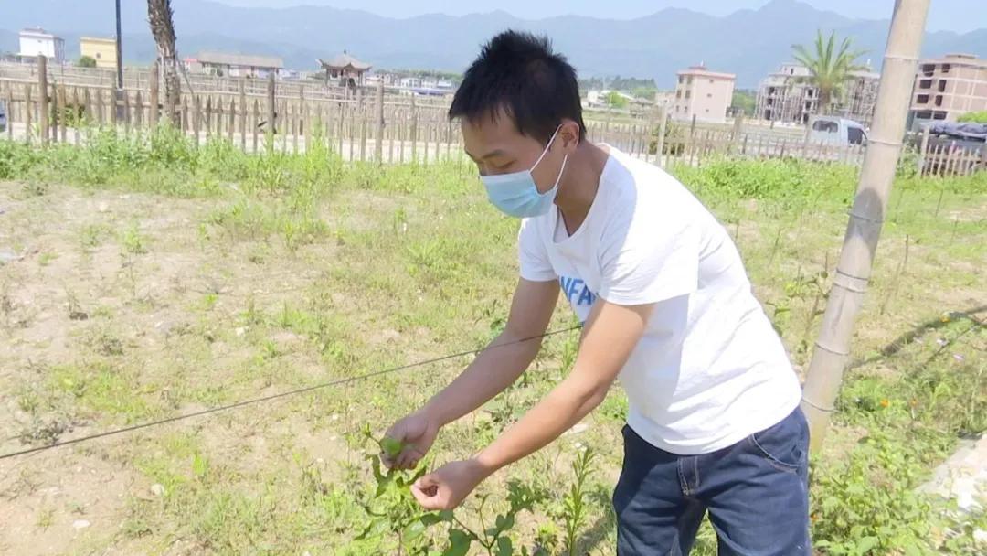 长泰的发展趋势,长泰发展前景怎么样