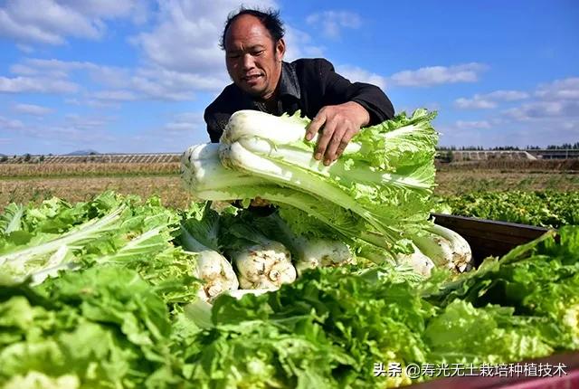 为什么农民的孩子不想做农民