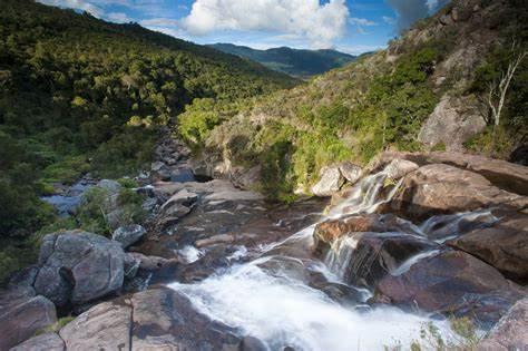 2斤龙虾100块钱,2斤龙虾58元