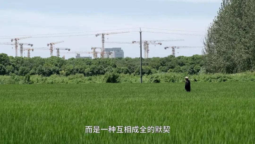 泗泾成为刚需胜地,泗泾哪里的房子最值得买