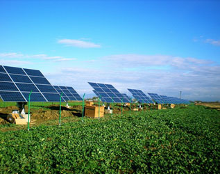 神州阳光光伏发电官网,神州阳光光伏发电官网电话