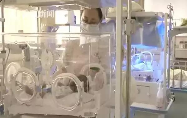 小男孩一出生没有了器官,小孩一出生就没有器官