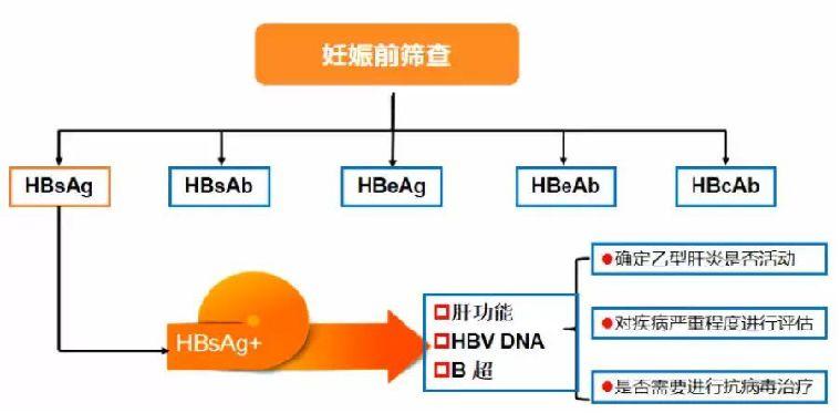 「肝胆好医生」南月敏教授-乙肝：可防、可控、不可怕