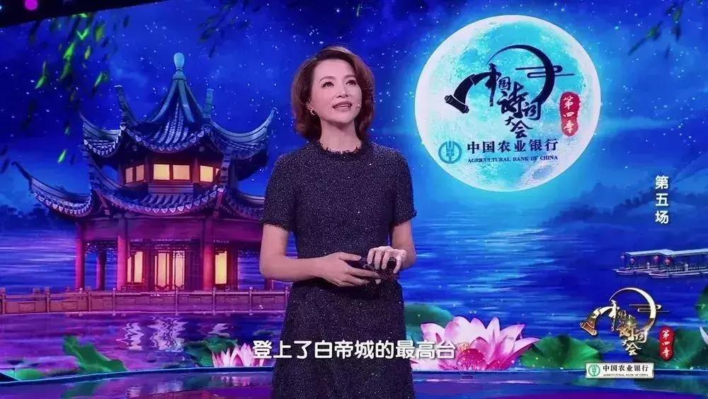 中国诗词大会董卿开场白蒹葭苍苍,董卿主持中国诗词大会开场白评价