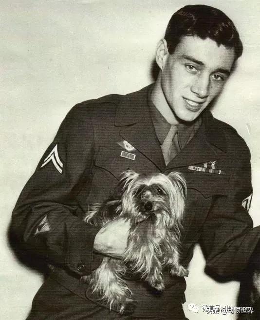 世界各国国宝级动物,世界各地的名贵动物