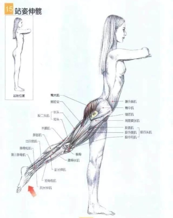 久坐后腰骶骨疼的厉害,久坐之后躺在床上腰骶部痛