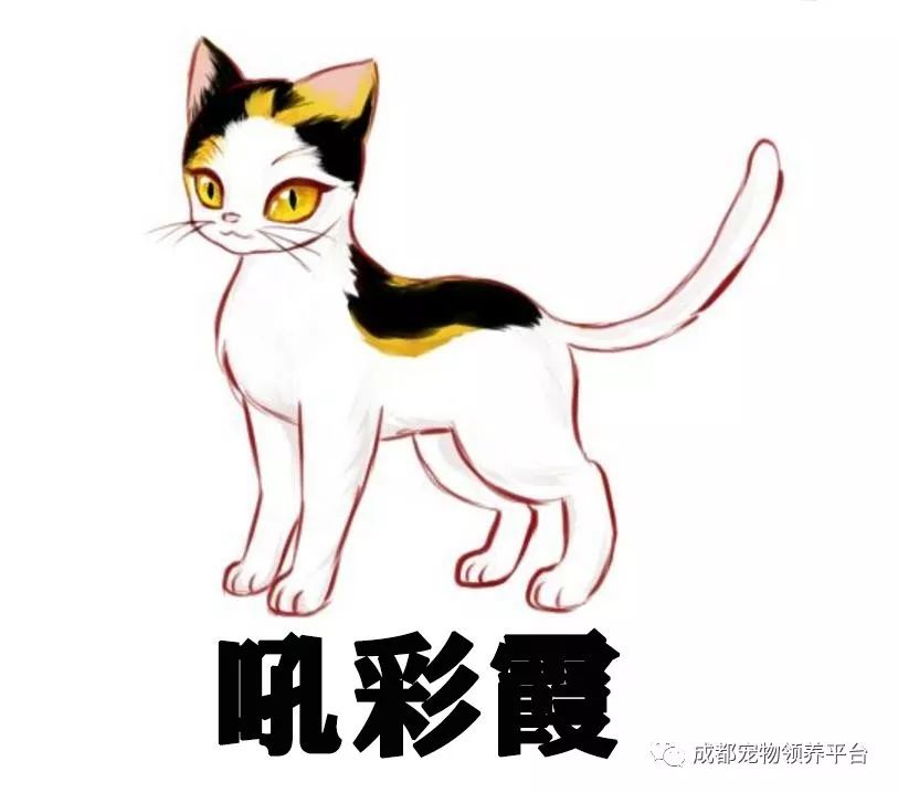 谁说土猫无名猫?快来围观古代猫谱,你家有没有镇宅神兽!