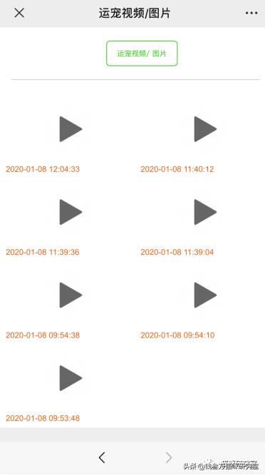 给大家介绍宠物托运的全过程,找托运宠物公司托运宠物注意什么