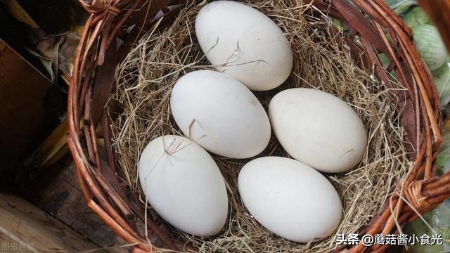 鸡蛋鸭蛋和鹅蛋到底哪种更营养呢,鹅蛋鸡蛋鸭蛋哪个营养价值最好