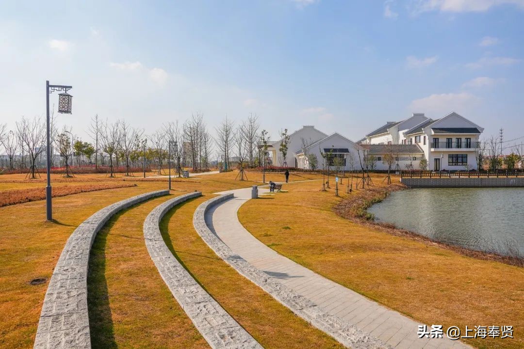 上海市奉贤区金汇港,上海闵行区的母亲河