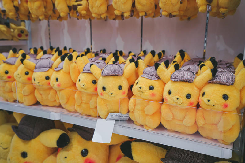 一人一猫环游,一人一猫旅行