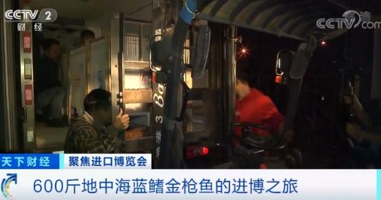 顶级蓝鳍金枪鱼美食,进博探营美食攻略