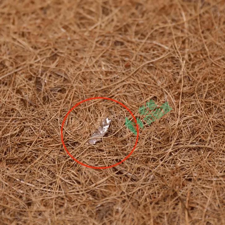 家里的哪些家居会有甲醛,这些藏在家中的高醛材料你可知道