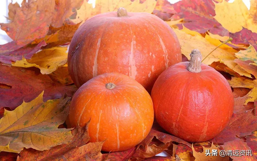 女性气血亏虚严重后果是什么,女人气血虚会造成什么后果