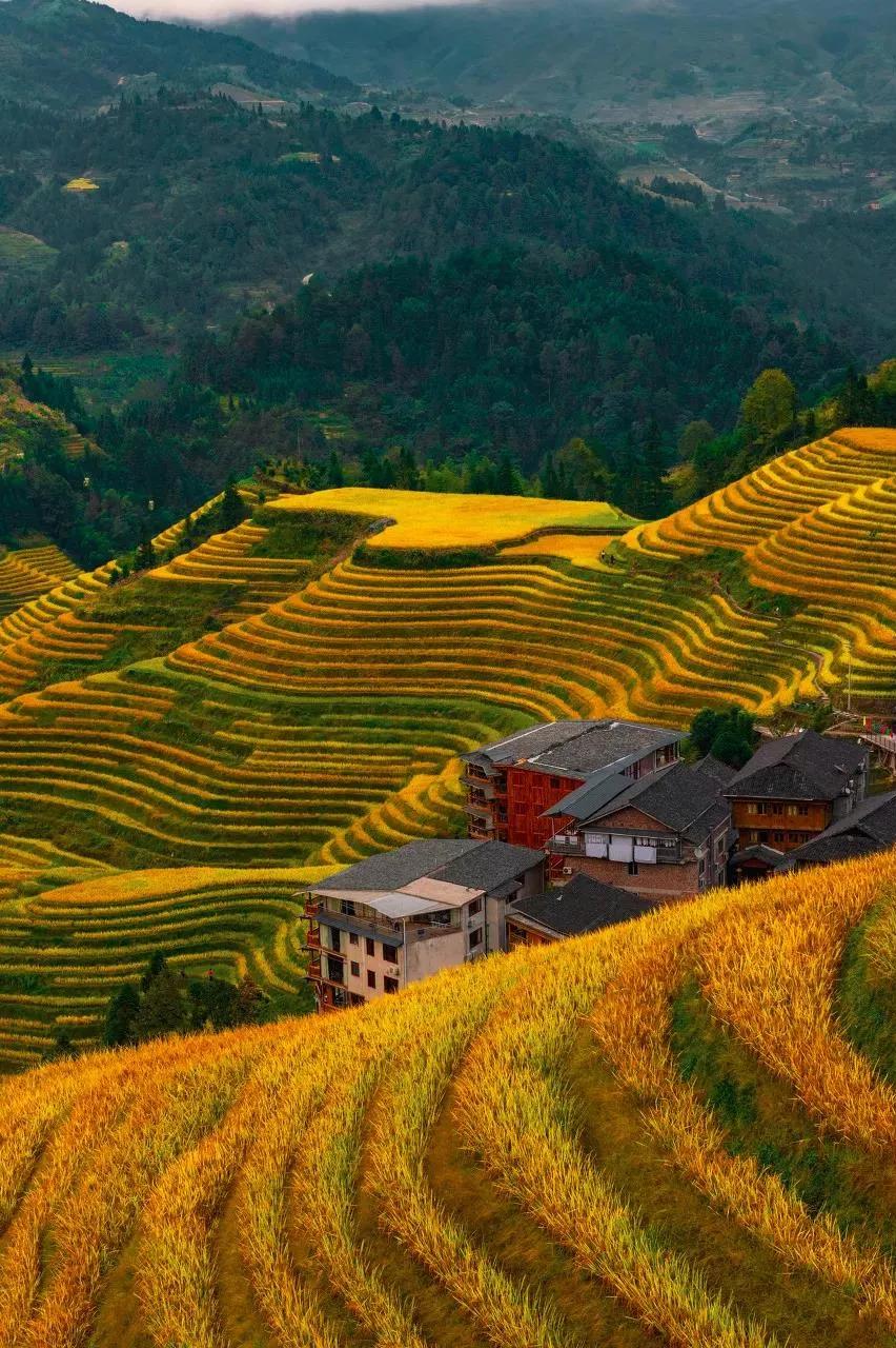 杭州当地的新农村,杭州农村现状视频