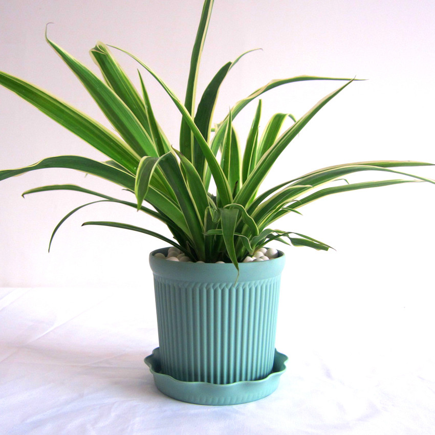 新车快速有效去除甲醛和异味,新床怎么能快速去除异味和甲醛味