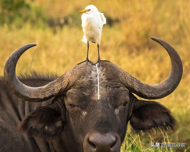 2020搞笑经典语录,2020年经典语录搞笑