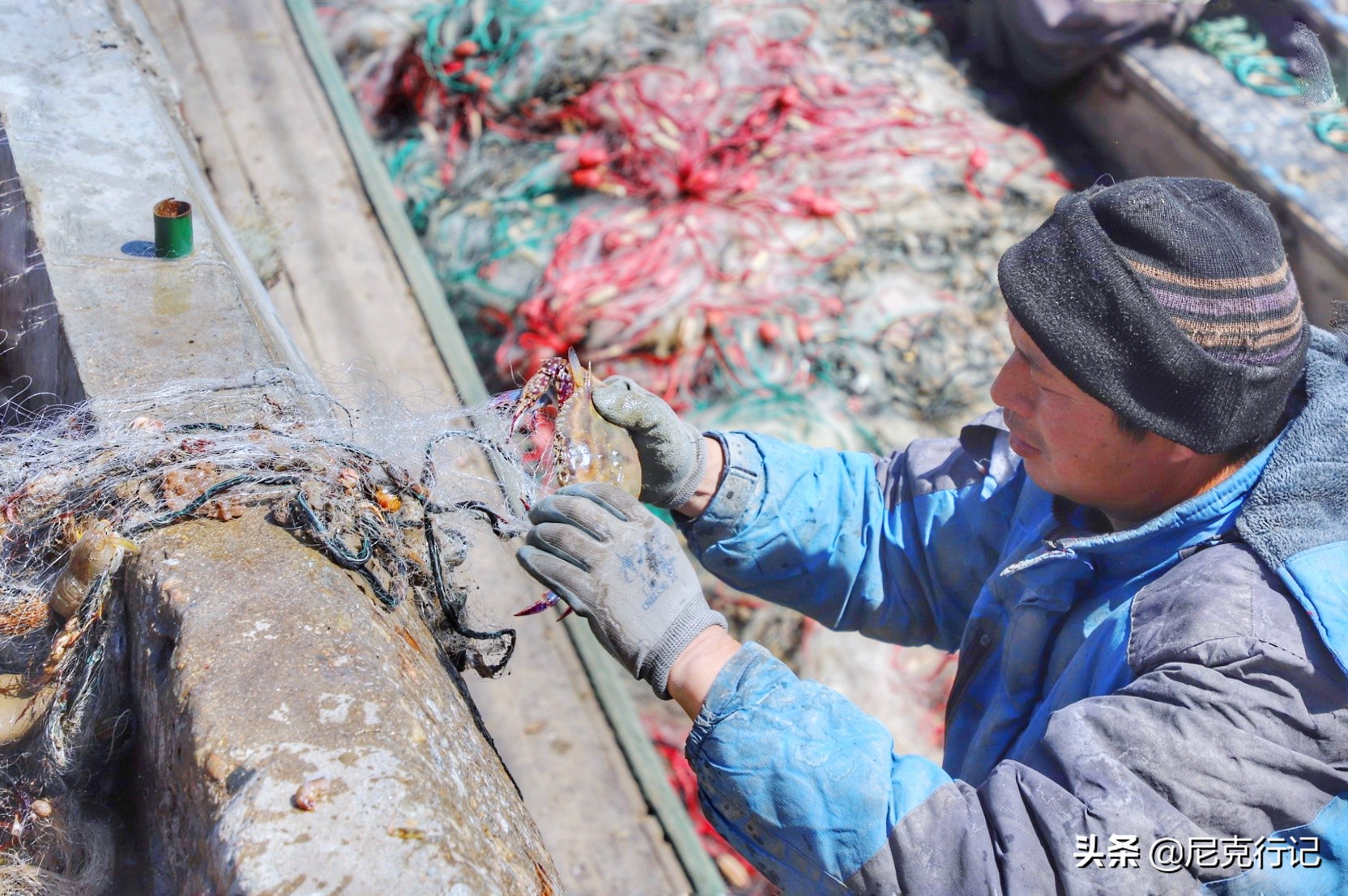 龙口桑岛位置,龙口最大的火山岛