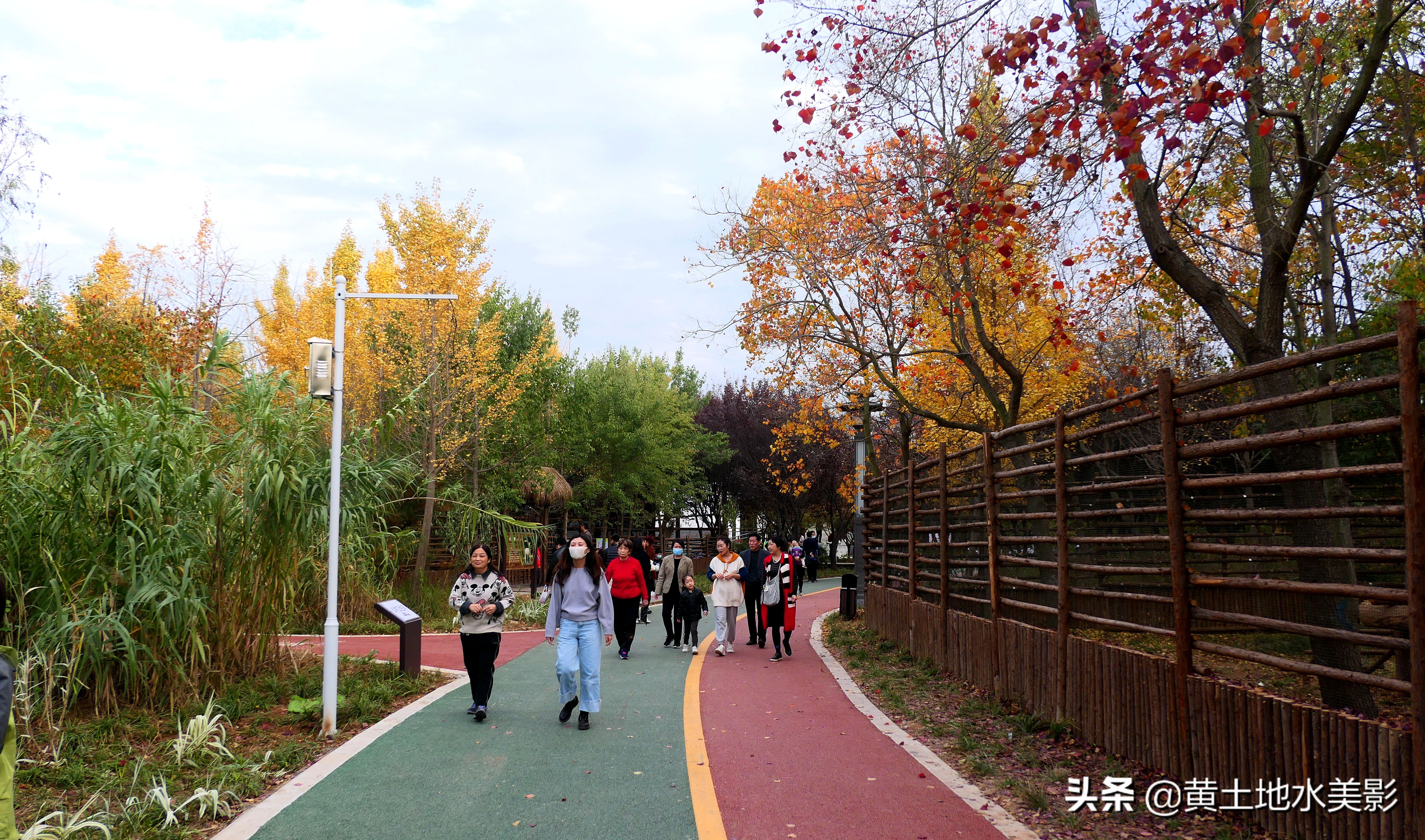 免费游玩东湖公园攻略,游玩国家湿地野鸭湖