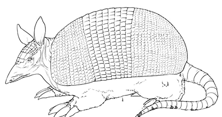 山海经是一本怎样的著作,千古奇书山海经解说