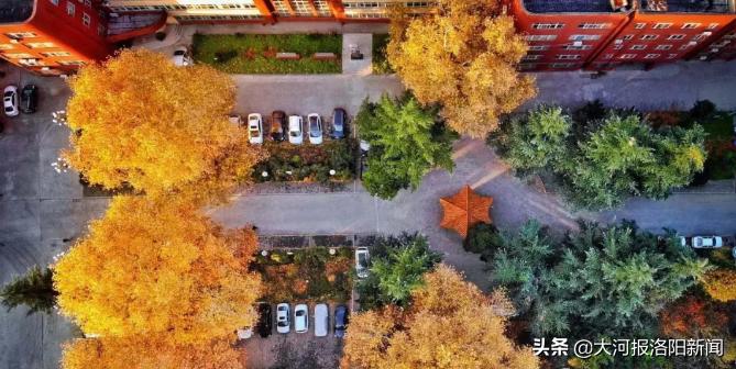 热烈祝贺洛阳八中荣获吉林大学“优秀生源基地”称号