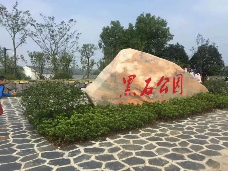 南京这些免费公园，让你任性玩个遍