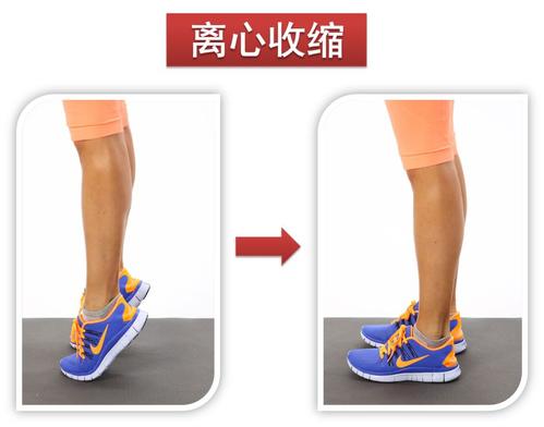 慢性踝关节不稳的康复训练方法,慢性踝关节不稳的康复方法