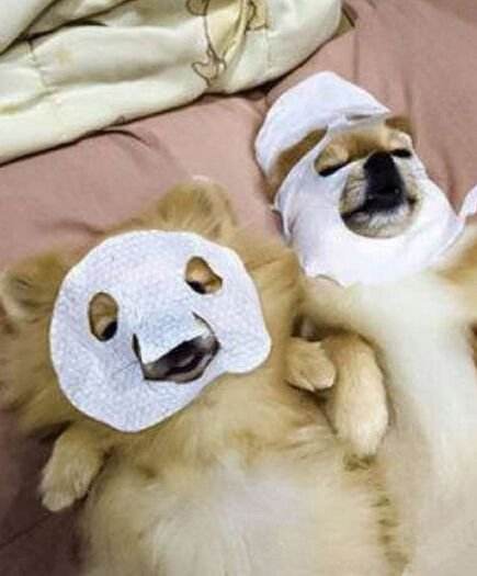 网红爆款眼膜大揭秘,现在市面上什么眼膜效果最好