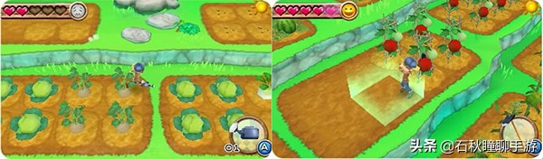 牧场物语最全攻略,牧场物语攻略经典