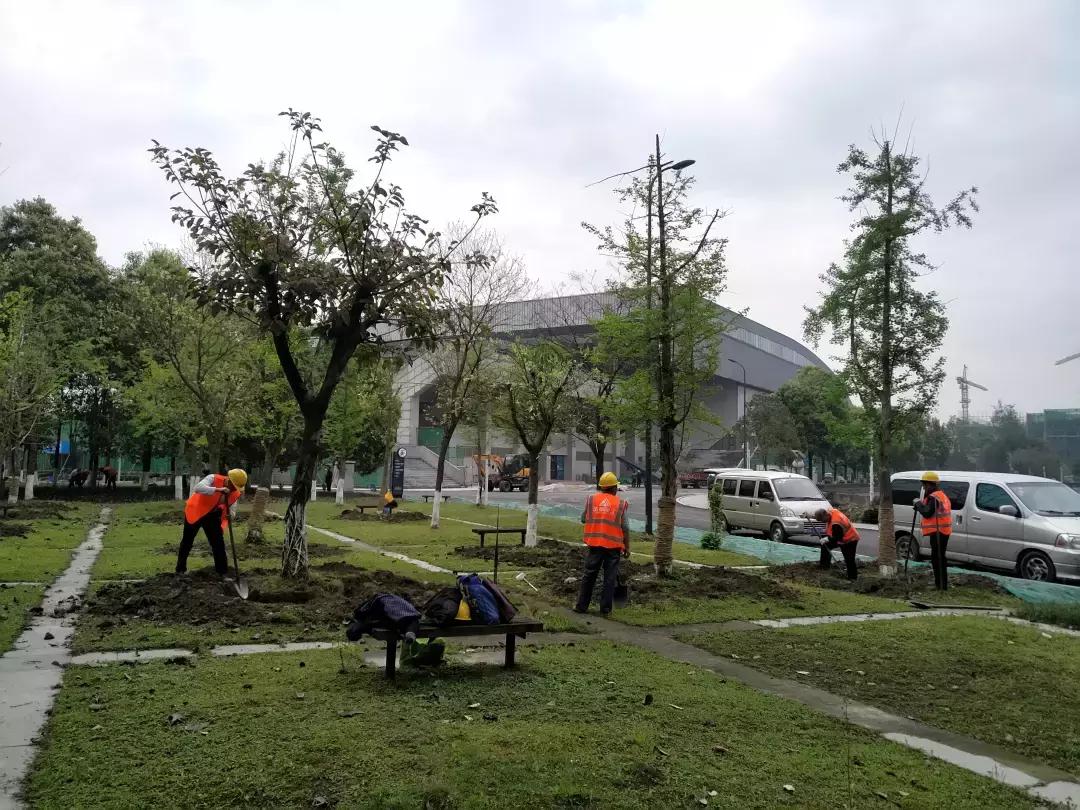 体育馆内的超绝颜值,成都双流体育场