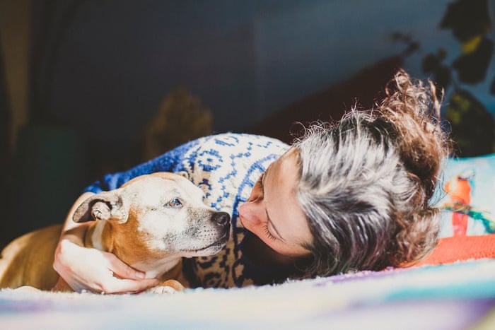 如果狗狗去世了该怎么安慰孩子,怎么正确看待狗狗的意外离世