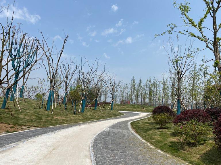 华谊兄弟南京电影小镇最新消息,华谊兄弟电影小镇南京还开业吗