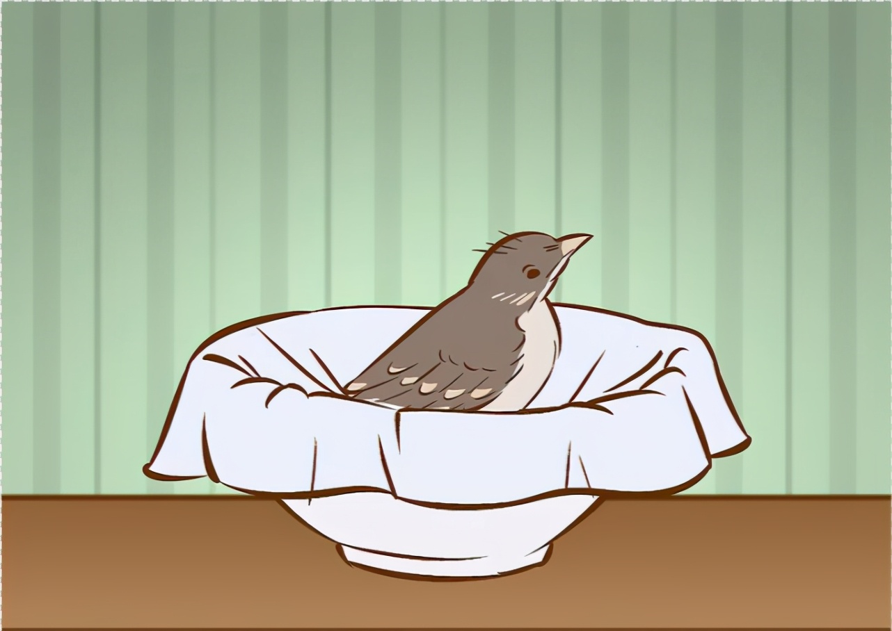 幼鸟从树上掉下来母鸟能救上去吗,幼鸟从树上的鸟巢中掉下来