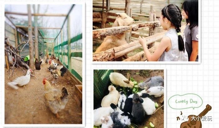 北京适合自驾户外烧烤的地方,北京野游烧烤好去处