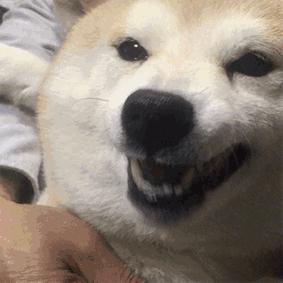 儿童游乐场利润大吗,儿童游乐园利润分析