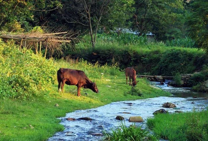 汽修从学徒到师傅的经历,汽修人的辛酸只有汽修人知道