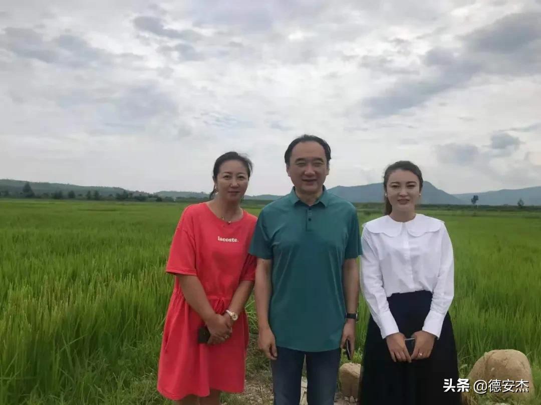 鍜岃皭涔℃潙鎸叴,鍜岀編涔℃潙鍔╁姏涔℃潙鎸叴