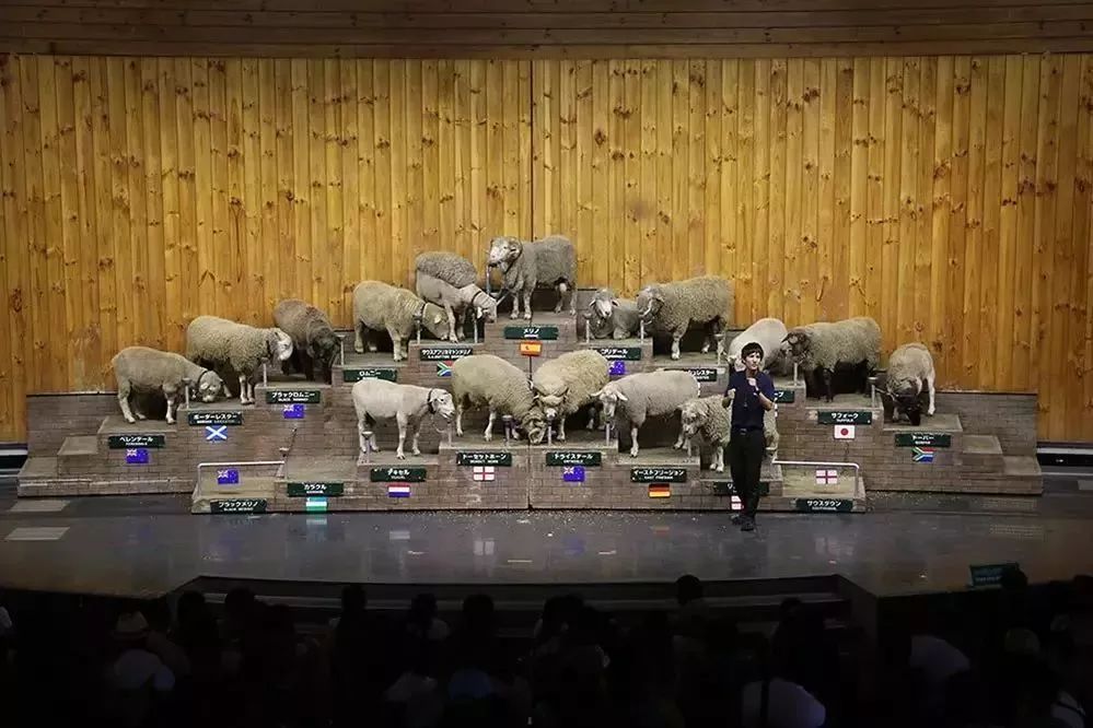 日本母亲农场项目,日本一个亲子农场年赚3亿