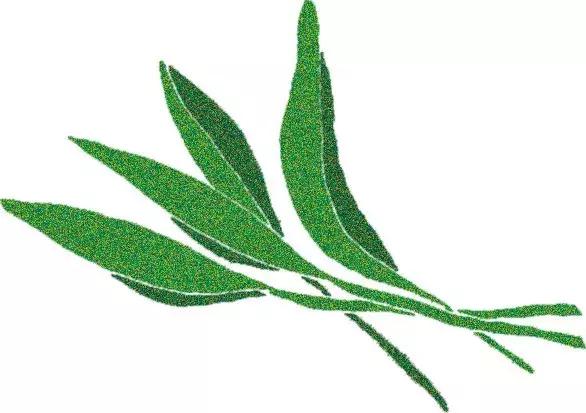 烹饪菜肴用的香辛料,料理必备调味料