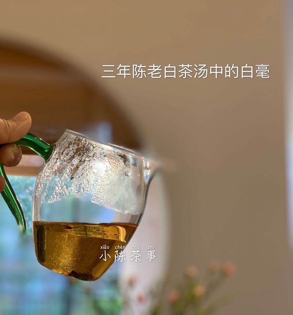 普洱茶和岩茶冲泡技巧的区别,白茶和岩茶普洱茶要怎么冲泡合适