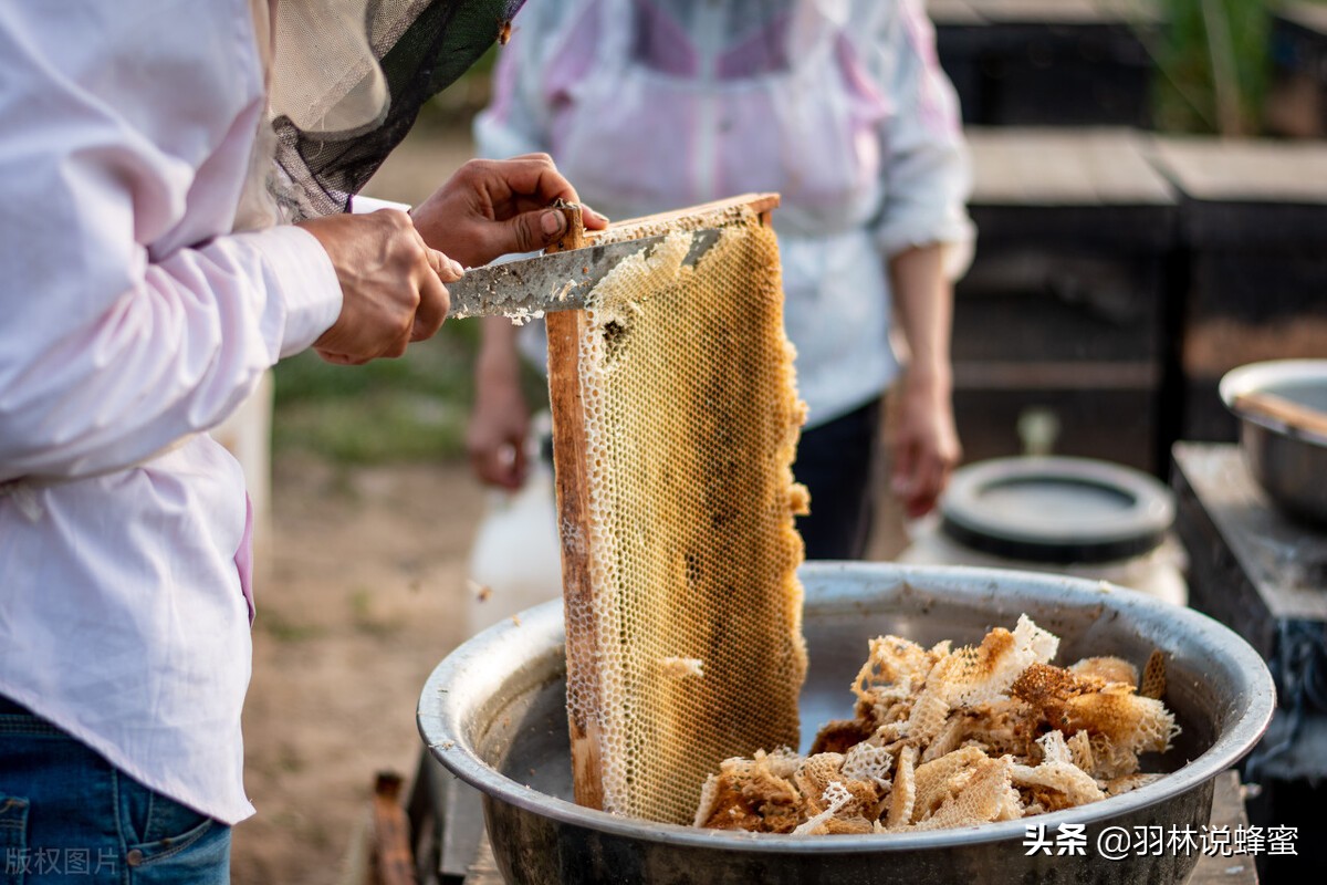 蜂箱里面的蜂蜜是怎么取出来的,蜂蜜是什么方法引进蜂箱的