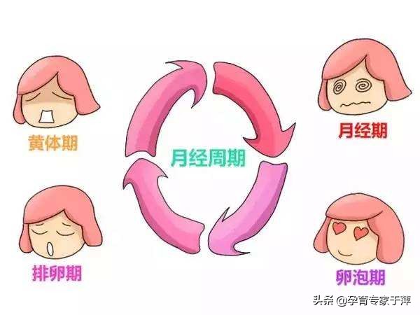 卵巢功能减退和多囊卵巢综合症,卵巢功能减退和卵巢早衰哪个严重