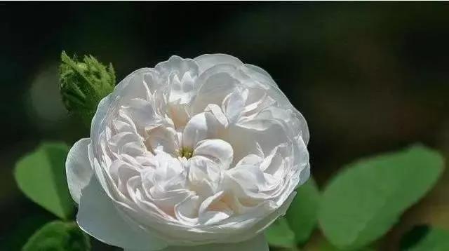 每天学习一点点女性小常识,每天学习一点点科普一下