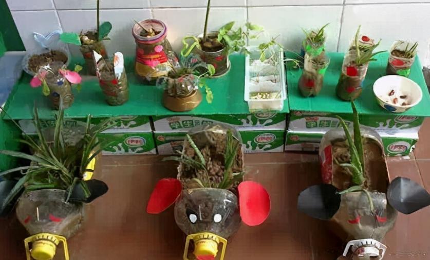 塑料瓶养花妙用大全,塑料瓶养花好还是玻璃瓶养花好