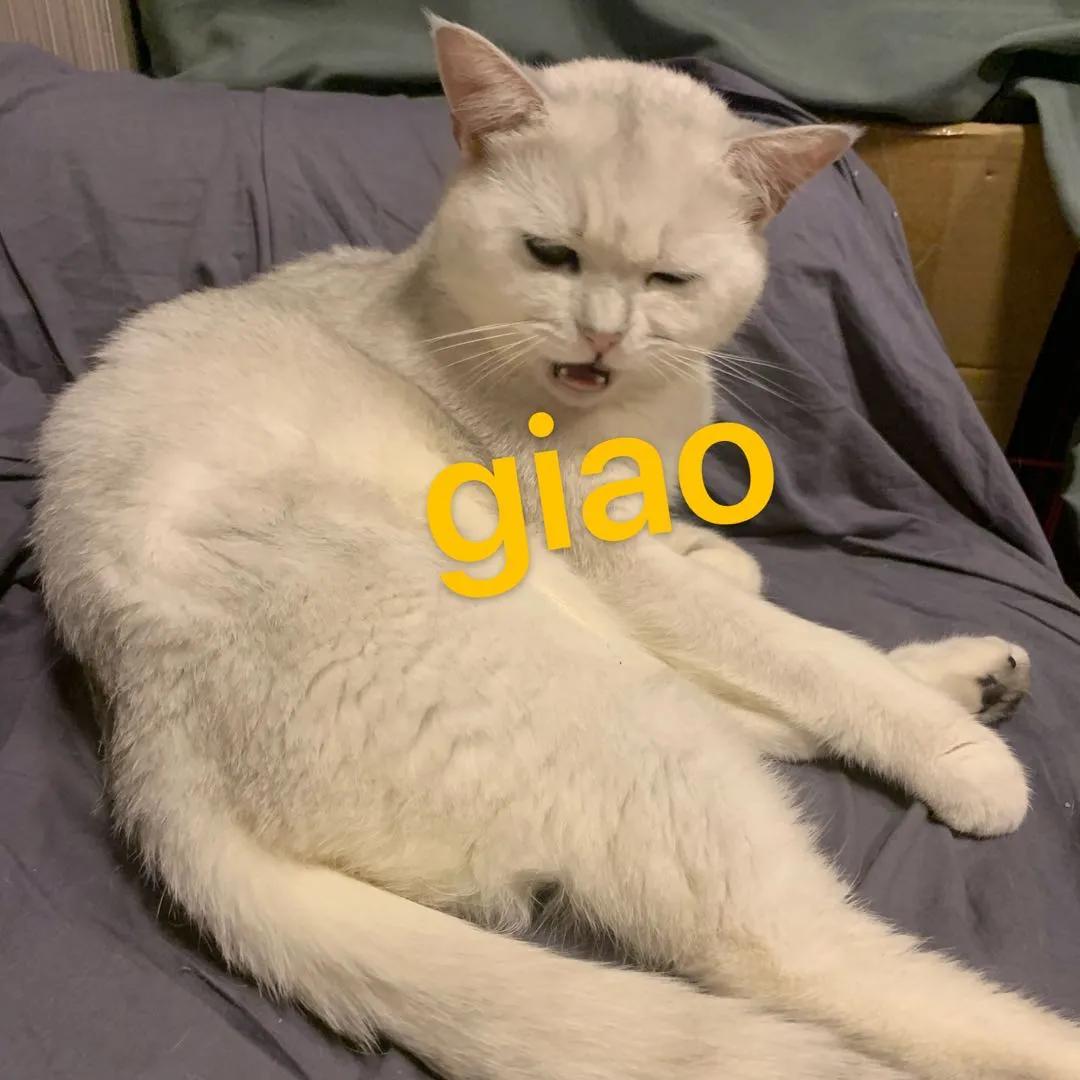 把微信好友删除后改了微信号,微信改微信号第二次怎么改