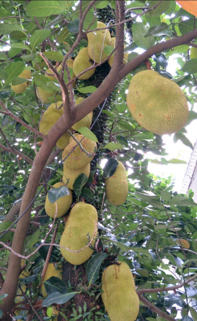 中国海岸线北端的起点,中国海岸线最南端东兴