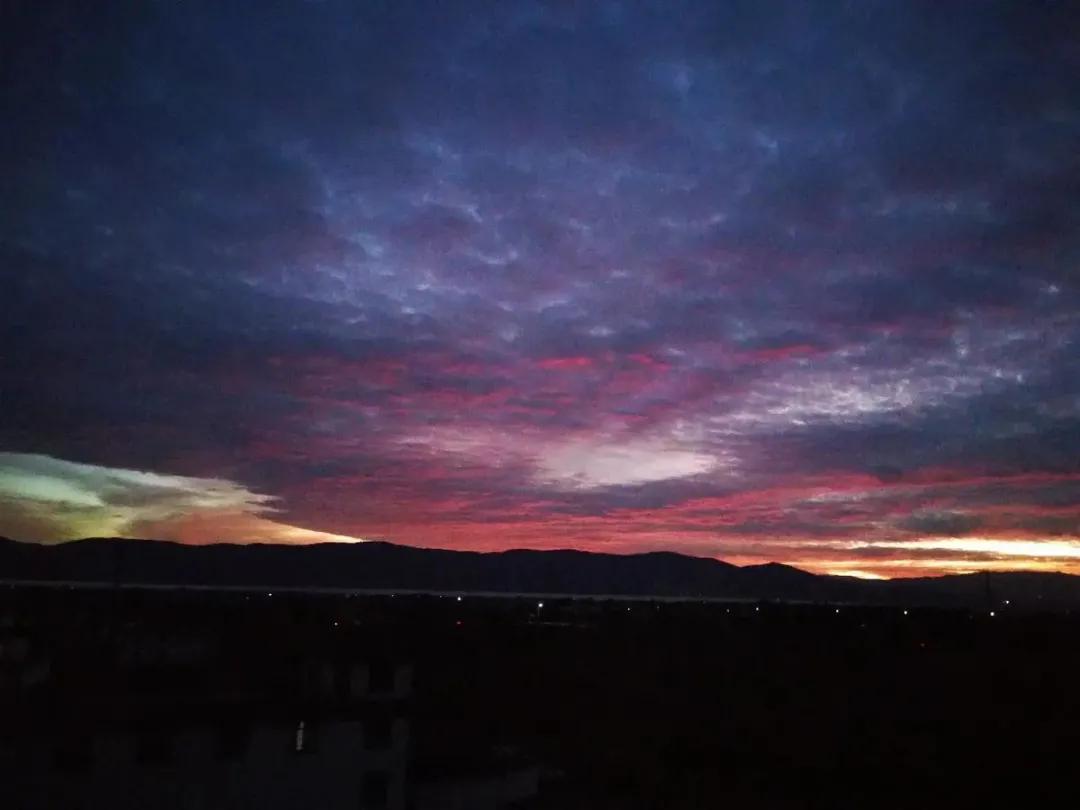 让农业真正回归照顾生命