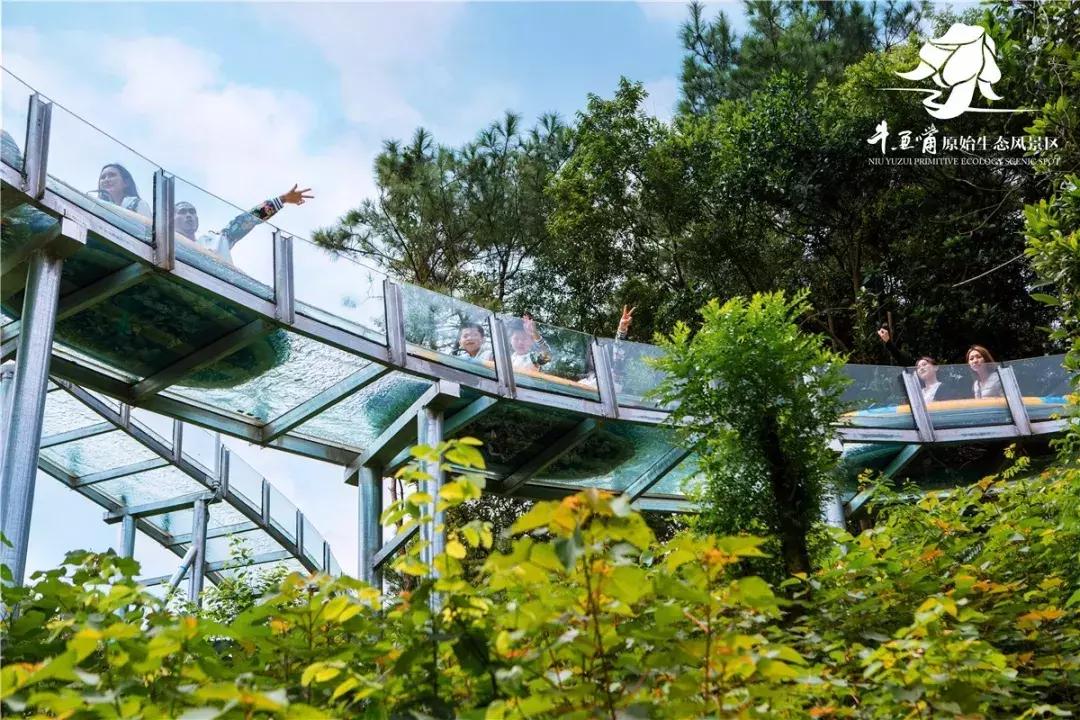 去清远漂流视频,去清远漂流哪个比较好玩